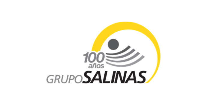 grupo-salinas